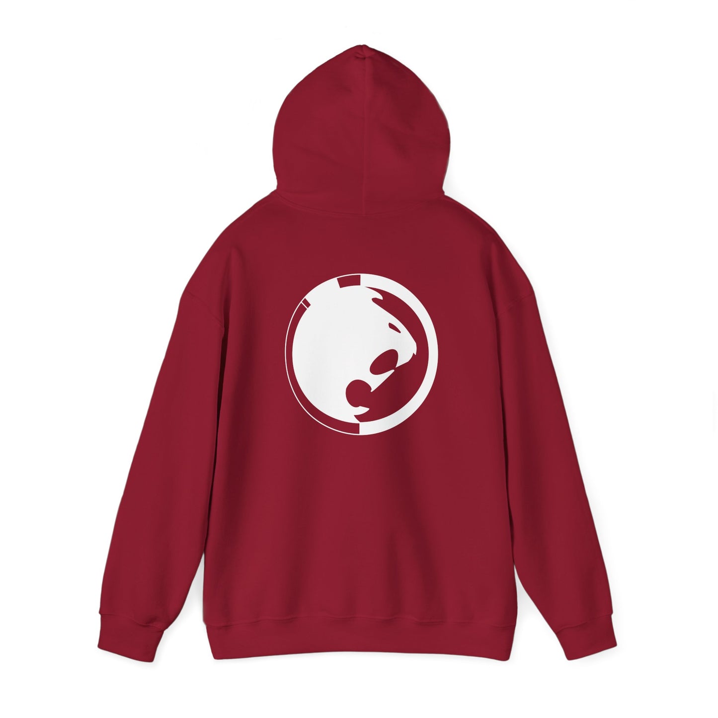 BJJ - Unisex Hooded Sweatshirt