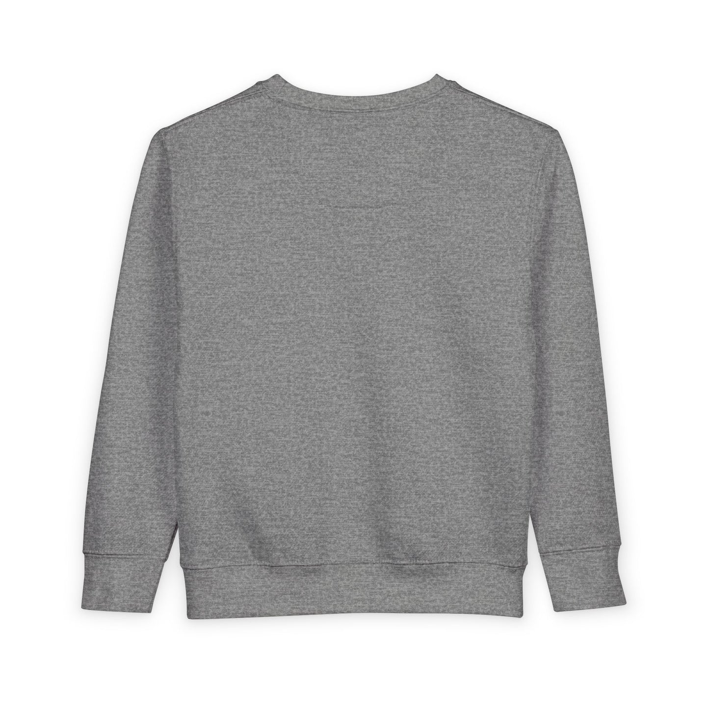 DGA Toddler Sweatshirt