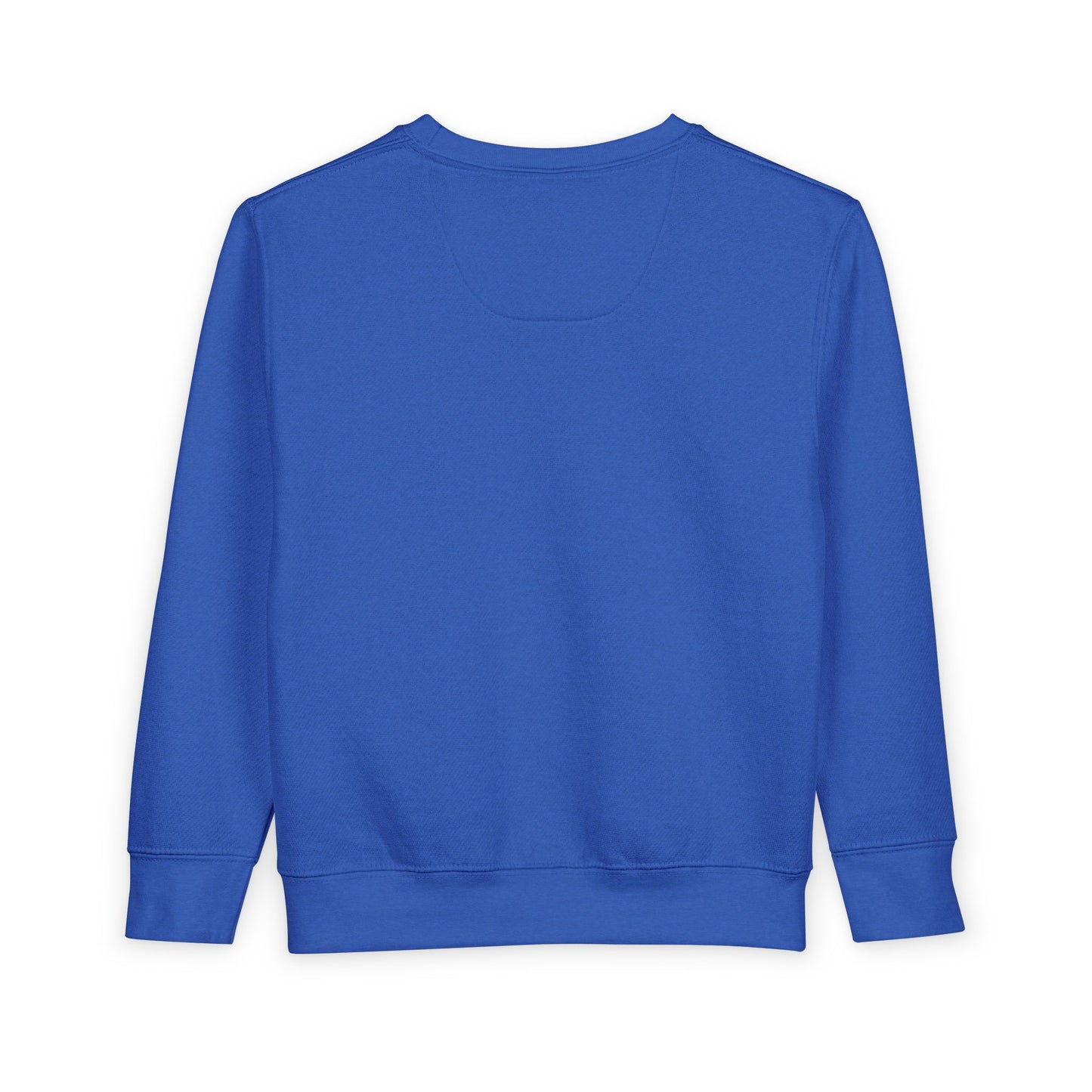 DGA Toddler Sweatshirt