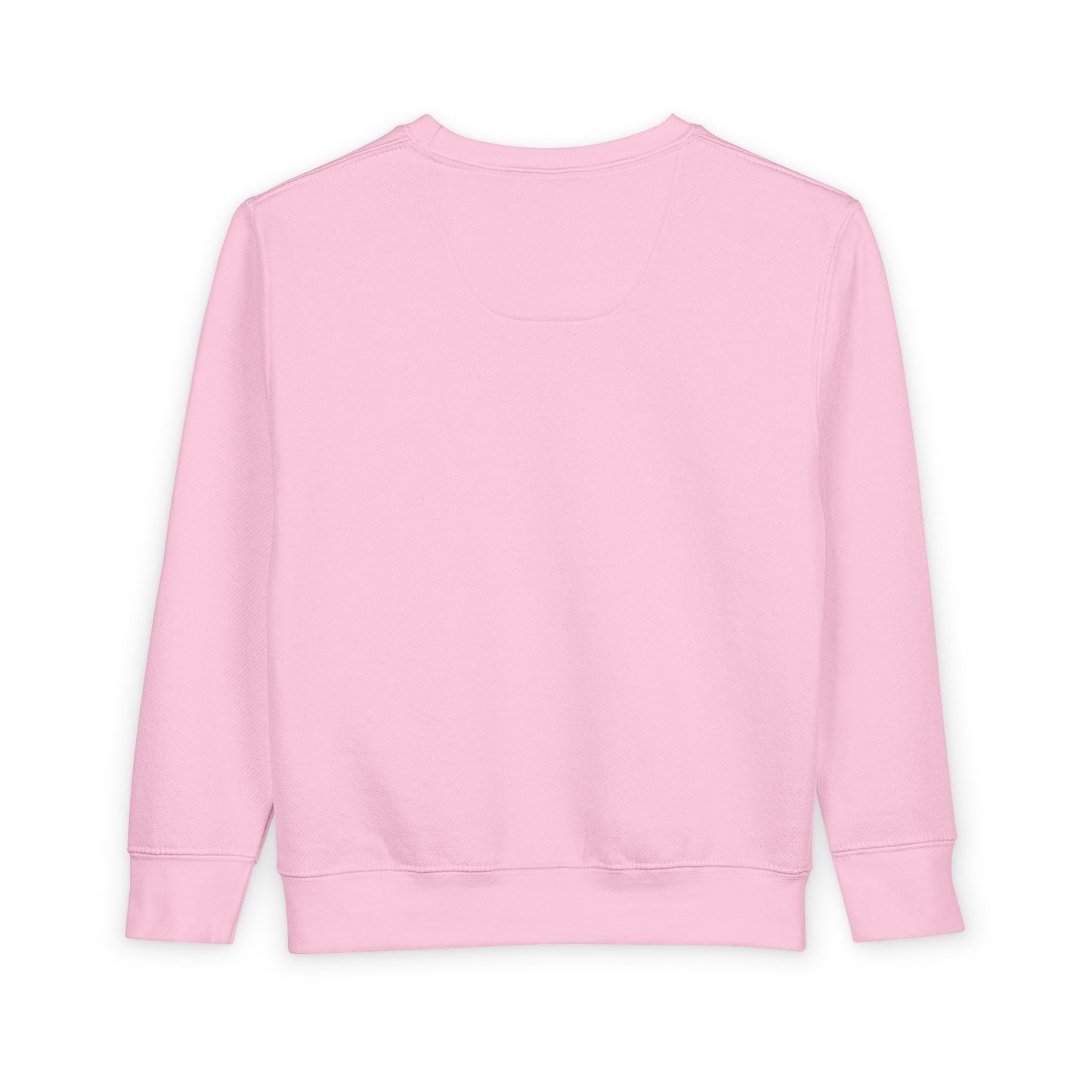 DGA Toddler Sweatshirt
