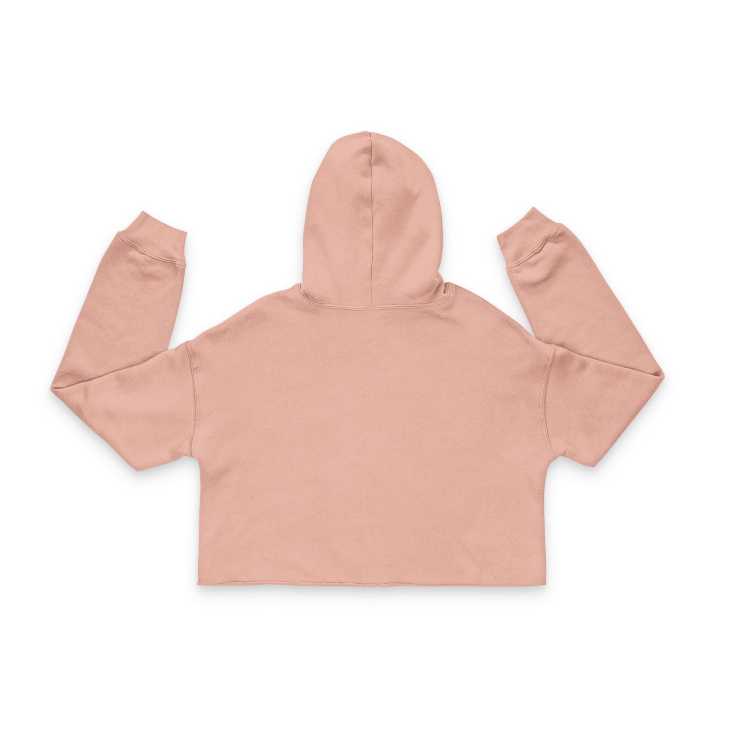 DGA Cropped Hoodie