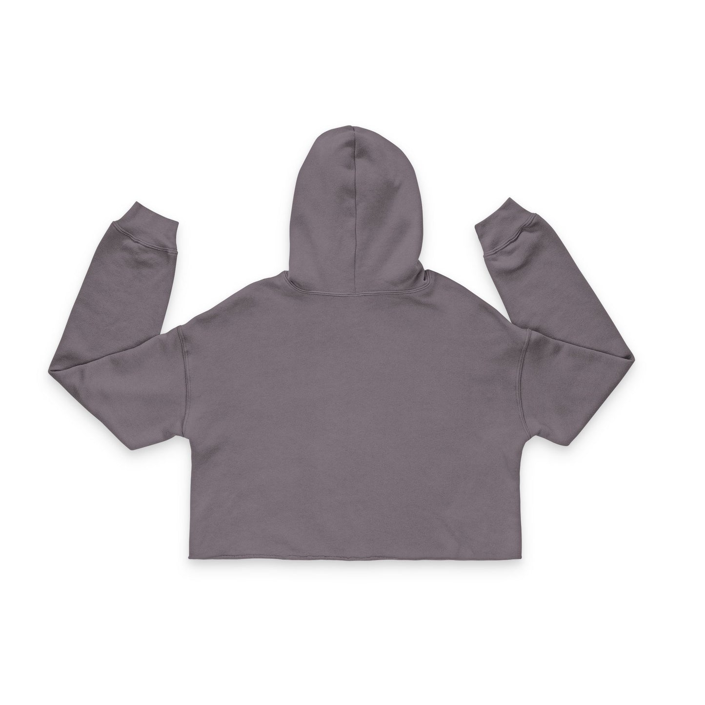 DGA Cropped Hoodie
