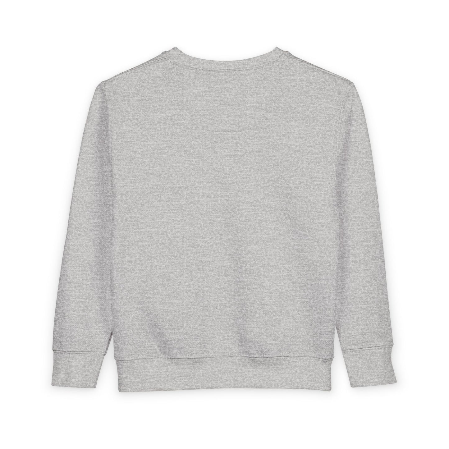 DGA Toddler Sweatshirt